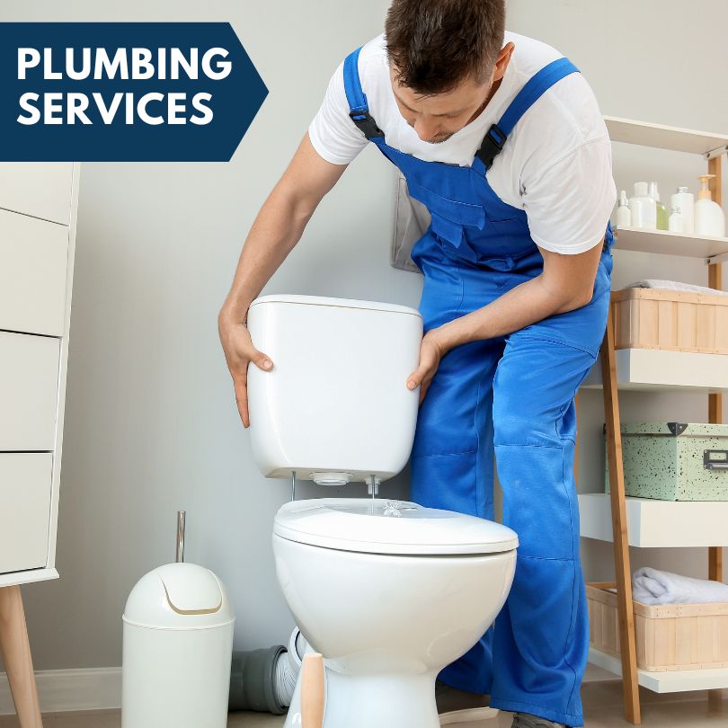 Plumbing Company in Hamilton, MI